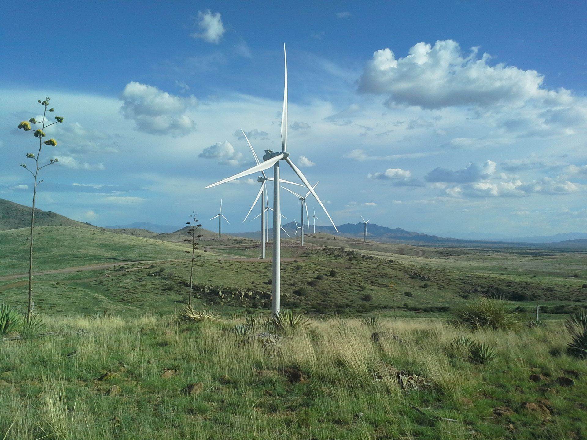 View of wind turbines in rolling grassy hills at Red Horse 2 solar and wind farm in Arizona.